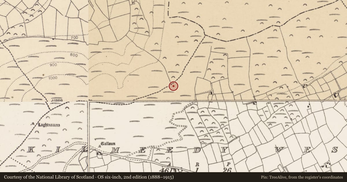 Ordnance Survey six-inch map, 2nd edition (1888–1915) covering the location of Stone circle - five-stone, Kilmeedy West, County Cork, with a pin at the register's coordinates