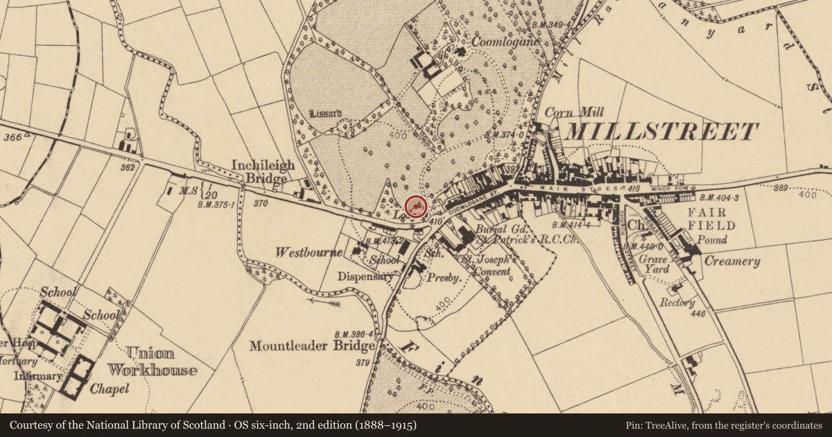 Ordnance Survey six-inch map, 2nd edition (1888–1915) covering the location of Ogham stone (present location), Coomlogane, County Cork, with a pin at the register's coordinates