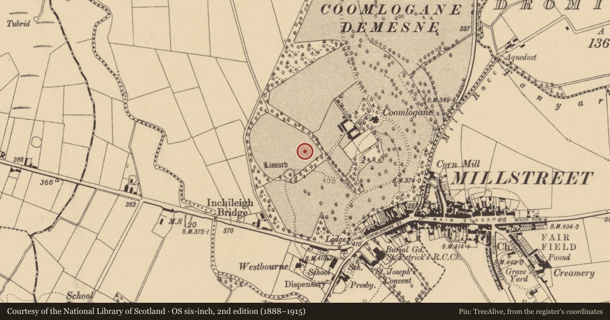 Ordnance Survey six-inch map, 2nd edition (1888–1915) covering the location of Ogham stone (present location), Coomlogane, County Cork, with a pin at the register's coordinates