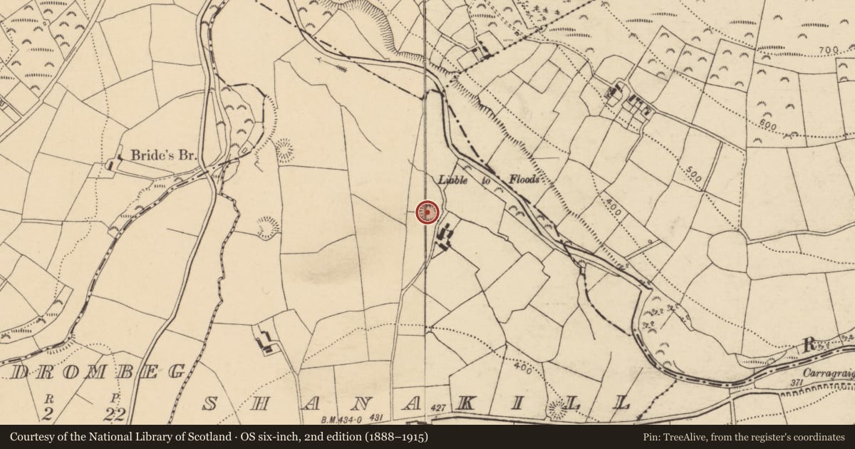 Ordnance Survey six-inch map, 2nd edition (1888–1915) covering the location of Ringfort - rath, Shanakill, County Cork, with a pin at the register's coordinates
