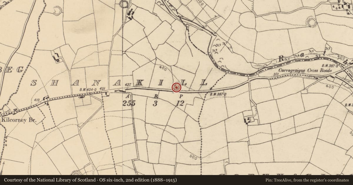Ordnance Survey six-inch map, 2nd edition (1888–1915) covering the location of Ringfort - rath, Shanakill, County Cork, with a pin at the register's coordinates