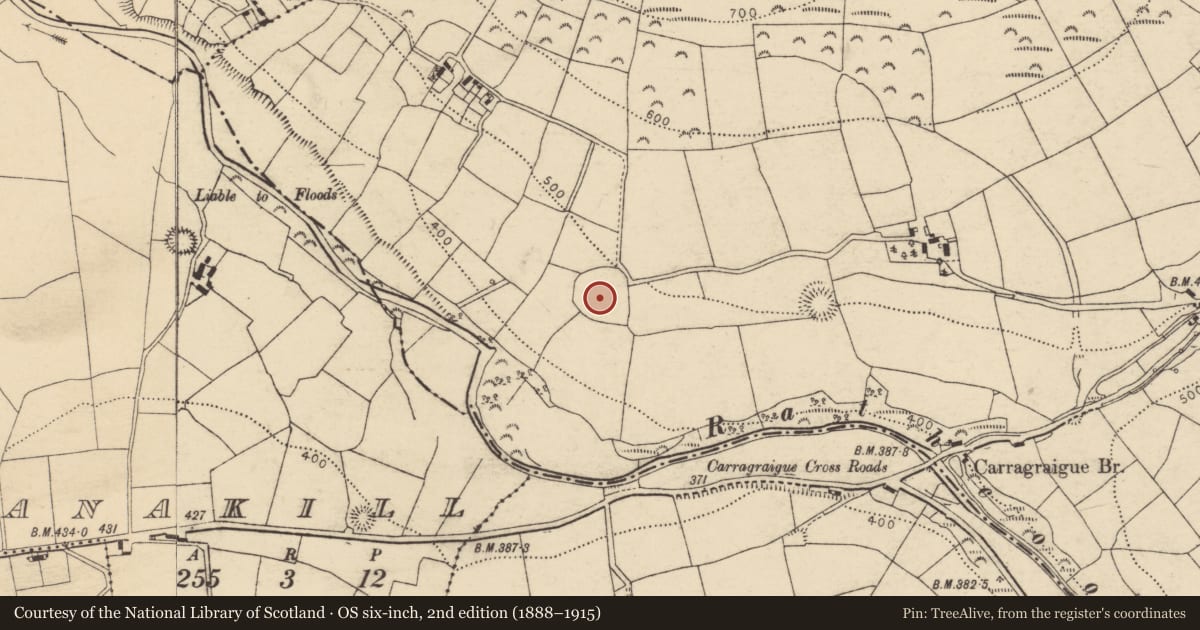 Ordnance Survey six-inch map, 2nd edition (1888–1915) covering the location of Ecclesiastical enclosure, Carragraigue, County Cork, with a pin at the register's coordinates