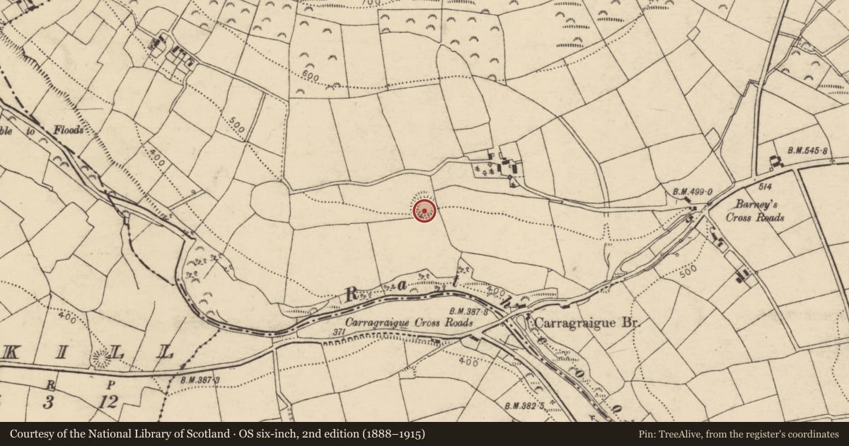 Ordnance Survey six-inch map, 2nd edition (1888–1915) covering the location of Ringfort - rath, Carragraigue, County Cork, with a pin at the register's coordinates