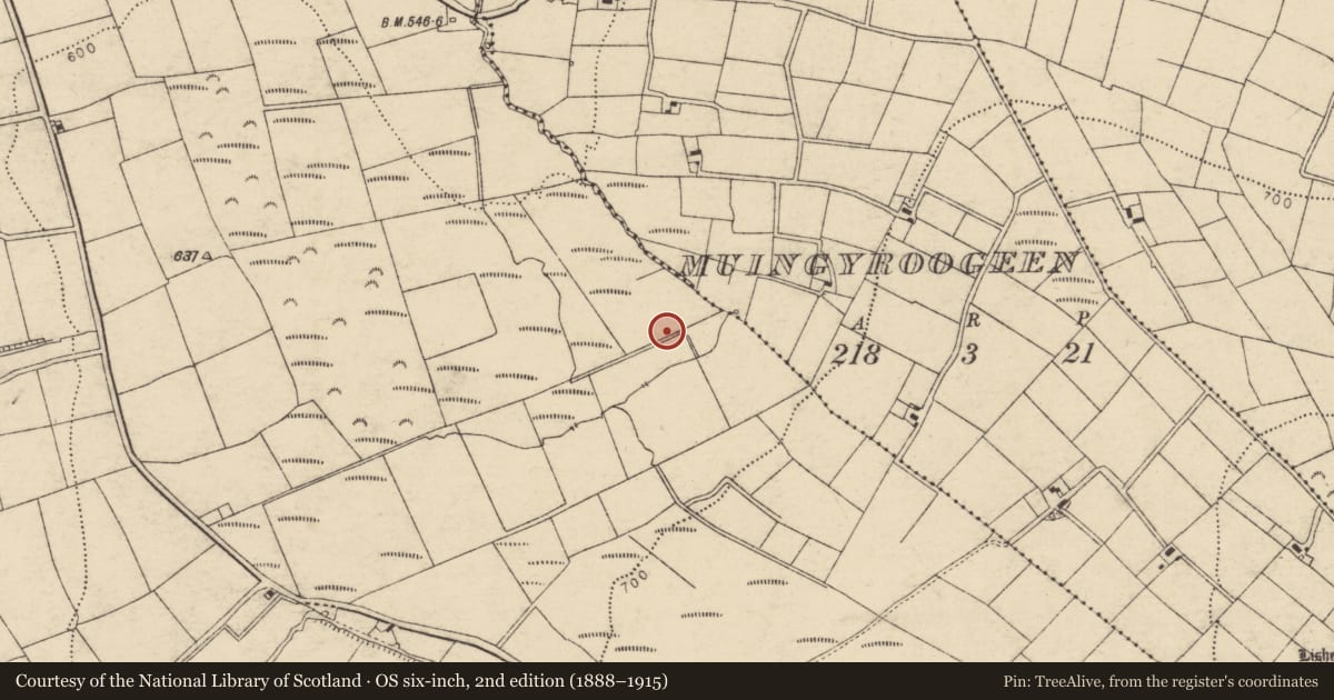 Ordnance Survey six-inch map, 2nd edition (1888–1915) covering the location of Fulacht fia, Carragraigue, County Cork, with a pin at the register's coordinates