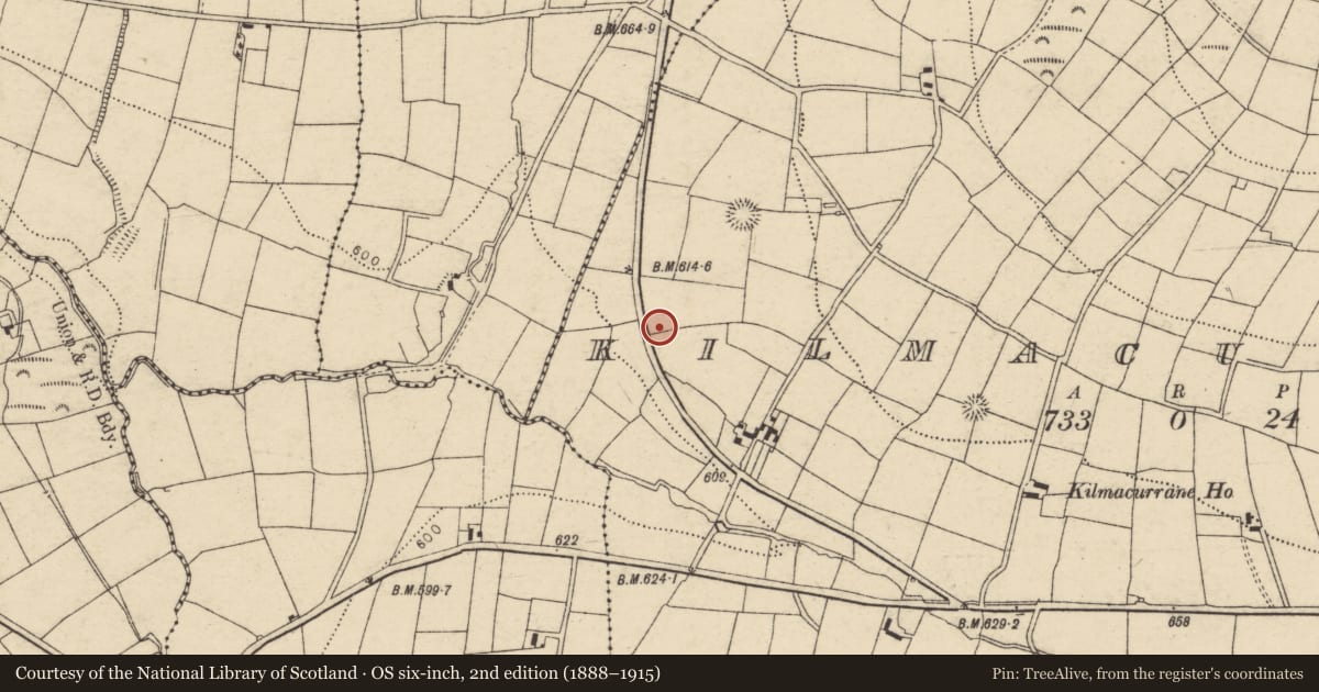 Ordnance Survey six-inch map, 2nd edition (1888–1915) covering the location of Fulacht fia, Kilmacurrane, County Cork, with a pin at the register's coordinates