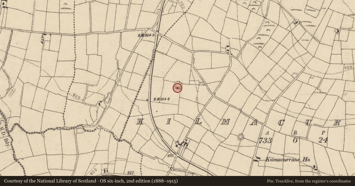 Ordnance Survey six-inch map, 2nd edition (1888–1915) covering the location of Ringfort - rath, Kilmacurrane, County Cork, with a pin at the register's coordinates