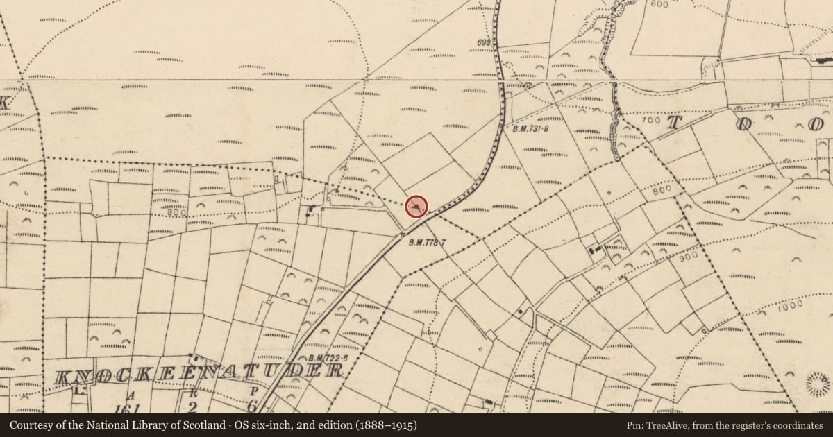 Ordnance Survey six-inch map, 2nd edition (1888–1915) covering the location of Standing stone, Derry, County Cork, with a pin at the register's coordinates