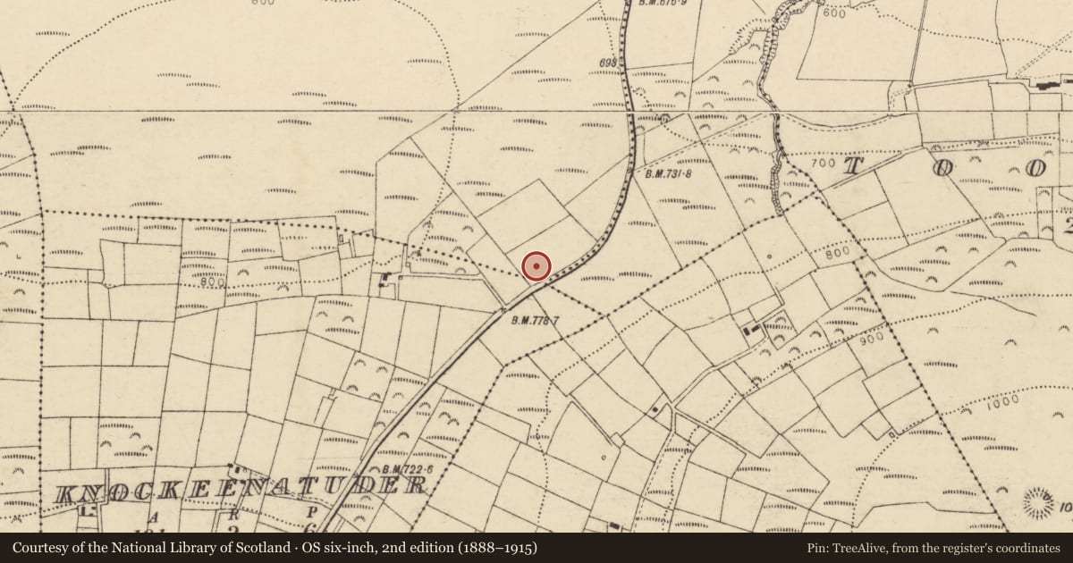 Ordnance Survey six-inch map, 2nd edition (1888–1915) covering the location of Standing stone, Derry, County Cork, with a pin at the register's coordinates