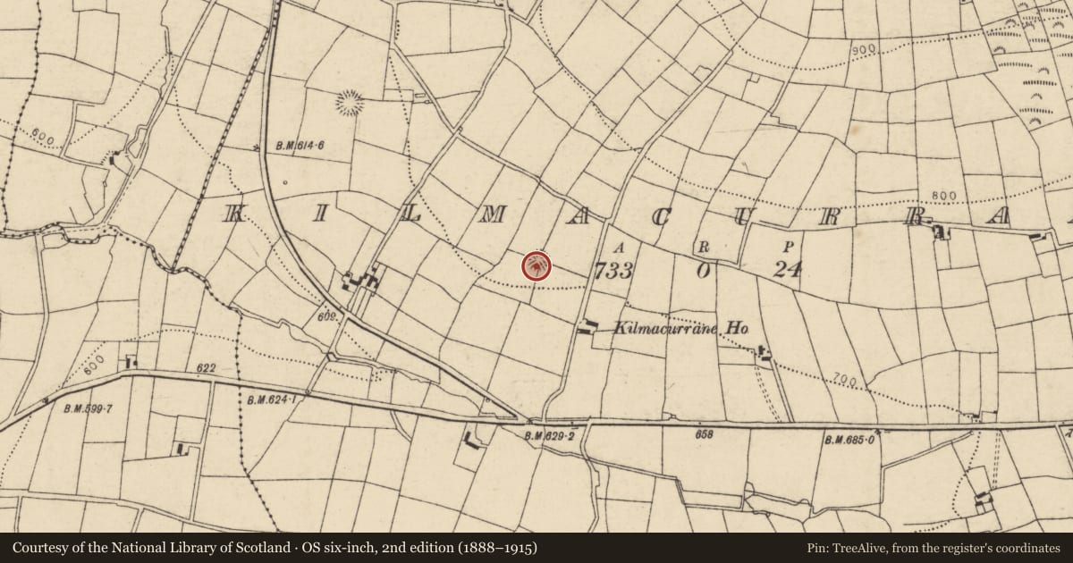 Ordnance Survey six-inch map, 2nd edition (1888–1915) covering the location of Ringfort - rath, Kilmacurrane, County Cork, with a pin at the register's coordinates