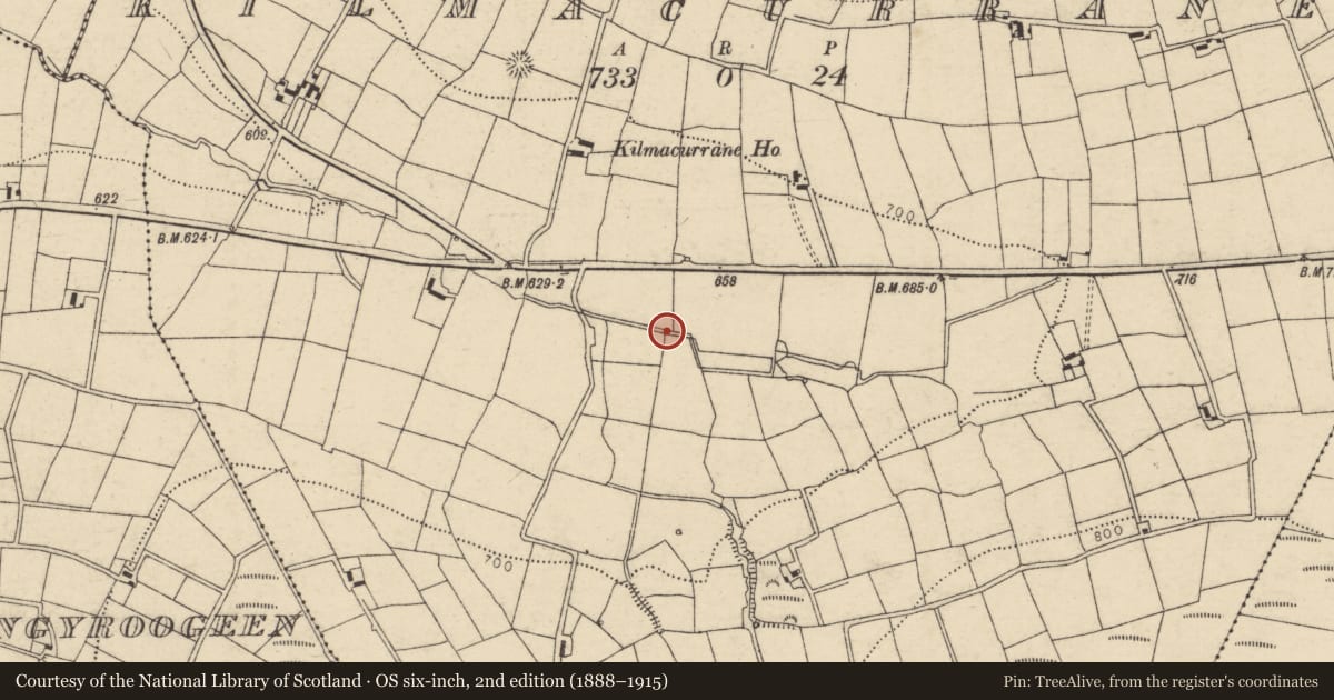 Ordnance Survey six-inch map, 2nd edition (1888–1915) covering the location of Fulacht fia, Kilmacurrane, County Cork, with a pin at the register's coordinates