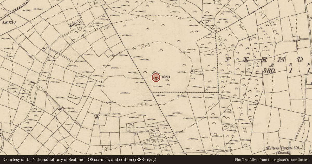 Ordnance Survey six-inch map, 2nd edition (1888–1915) covering the location of Ringfort - cashel, Tooreen, County Cork, with a pin at the register's coordinates