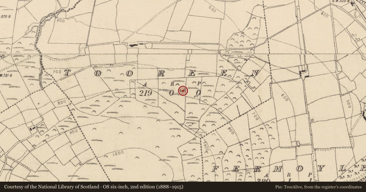 Ordnance Survey six-inch map, 2nd edition (1888–1915) covering the location of Enclosure, Tooreen, County Cork, with a pin at the register's coordinates