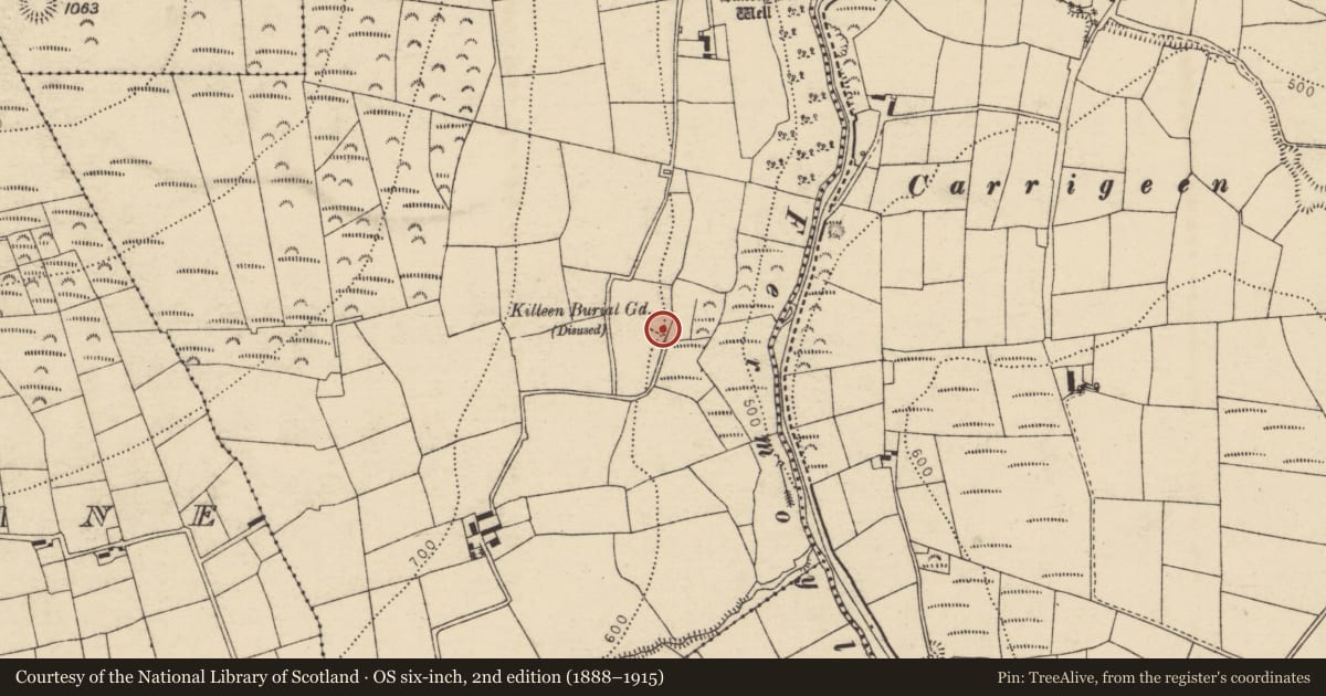 Ordnance Survey six-inch map, 2nd edition (1888–1915) covering the location of Church, Fermoyle, County Cork, with a pin at the register's coordinates
