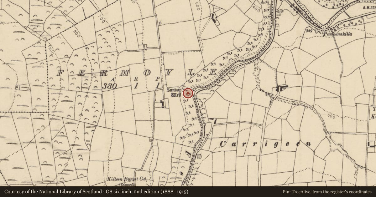 Ordnance Survey six-inch map, 2nd edition (1888–1915) covering the location of Ritual site - holy well, Fermoyle, County Cork, with a pin at the register's coordinates