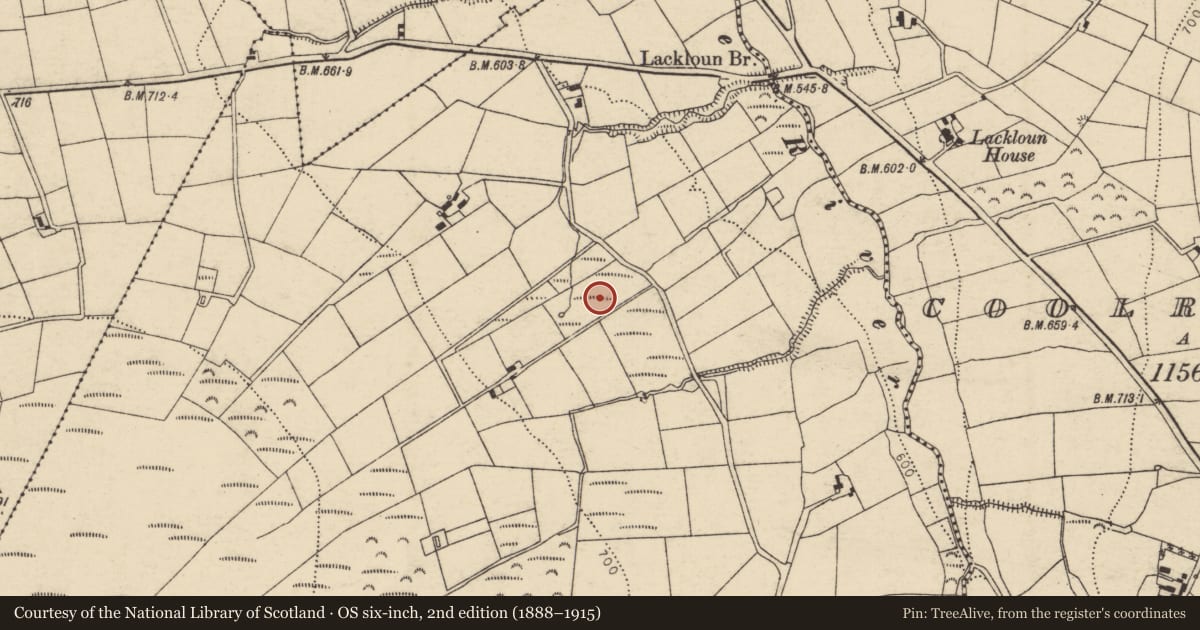 Ordnance Survey six-inch map, 2nd edition (1888–1915) covering the location of Fulacht fia, Charlesfield, County Cork, with a pin at the register's coordinates