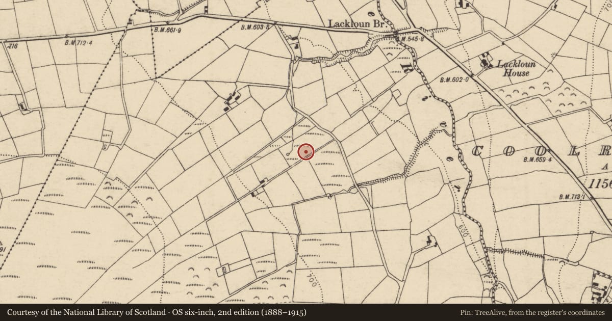 Ordnance Survey six-inch map, 2nd edition (1888–1915) covering the location of Fulacht fia, Charlesfield, County Cork, with a pin at the register's coordinates