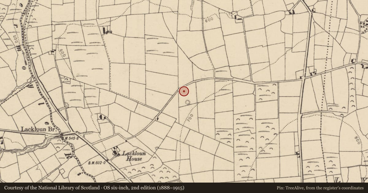 Ordnance Survey six-inch map, 2nd edition (1888–1915) covering the location of Fulacht fia, Coolroe More, County Cork, with a pin at the register's coordinates