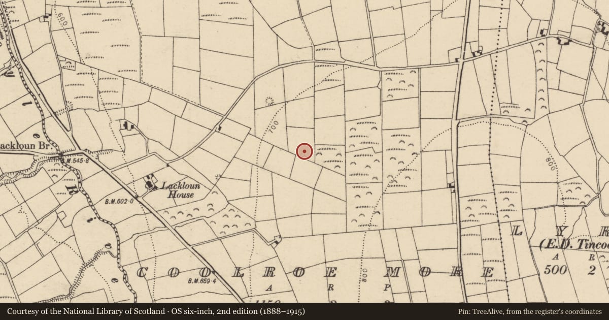 Ordnance Survey six-inch map, 2nd edition (1888–1915) covering the location of Fulacht fia, Coolroe More, County Cork, with a pin at the register's coordinates