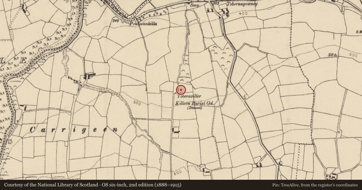 Ordnance Survey six-inch map, 2nd edition (1888–1915) covering the location of Fulacht fia, Coolroe More, County Cork, with a pin at the register's coordinates
