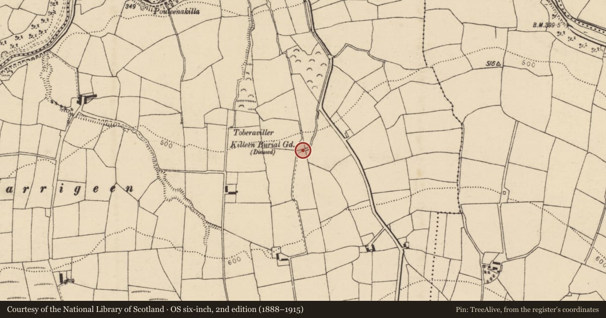 Ordnance Survey six-inch map, 2nd edition (1888–1915) covering the location of Burial ground, Coolroe More, County Cork, with a pin at the register's coordinates