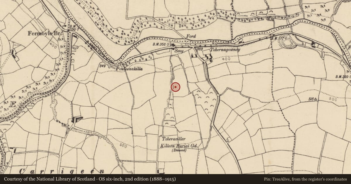 Ordnance Survey six-inch map, 2nd edition (1888–1915) covering the location of Fulacht fia, Coolroe More, County Cork, with a pin at the register's coordinates