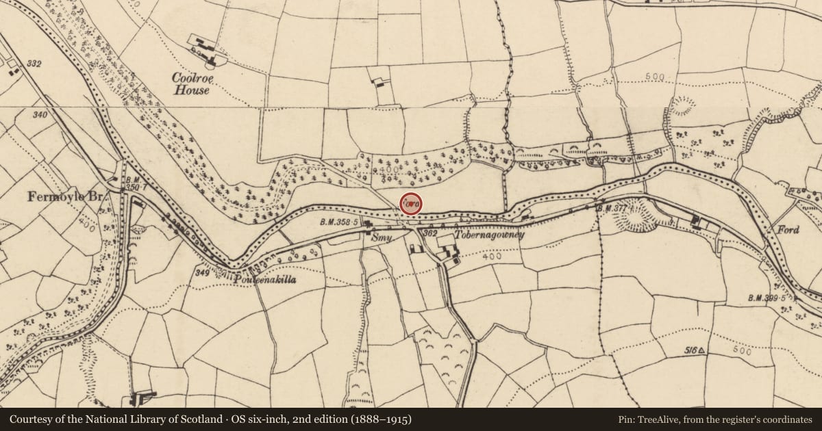 Ordnance Survey six-inch map, 2nd edition (1888–1915) covering the location of Fulacht fia, Coolroe Beg, County Cork, with a pin at the register's coordinates