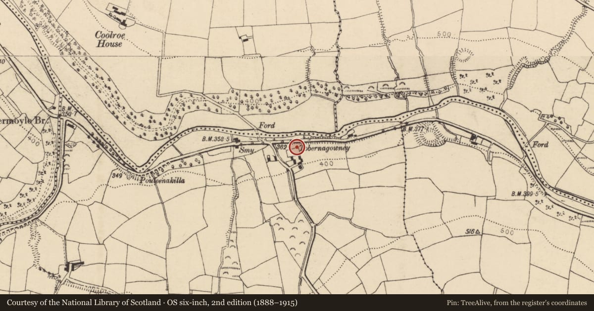Ordnance Survey six-inch map, 2nd edition (1888–1915) covering the location of Ritual site - holy well, Coolroe More, County Cork, with a pin at the register's coordinates