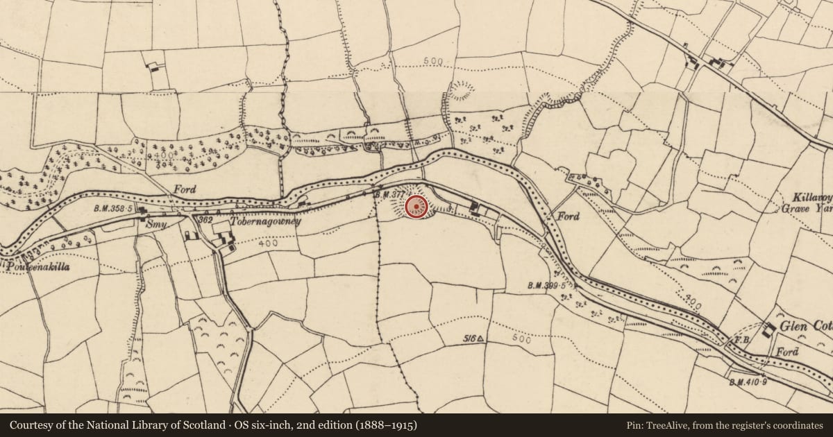 Ordnance Survey six-inch map, 2nd edition (1888–1915) covering the location of Cliff-edge fort, Lyre (Duhallow By., Clonmeen Par.), County Cork, with a pin at the register's coordinates