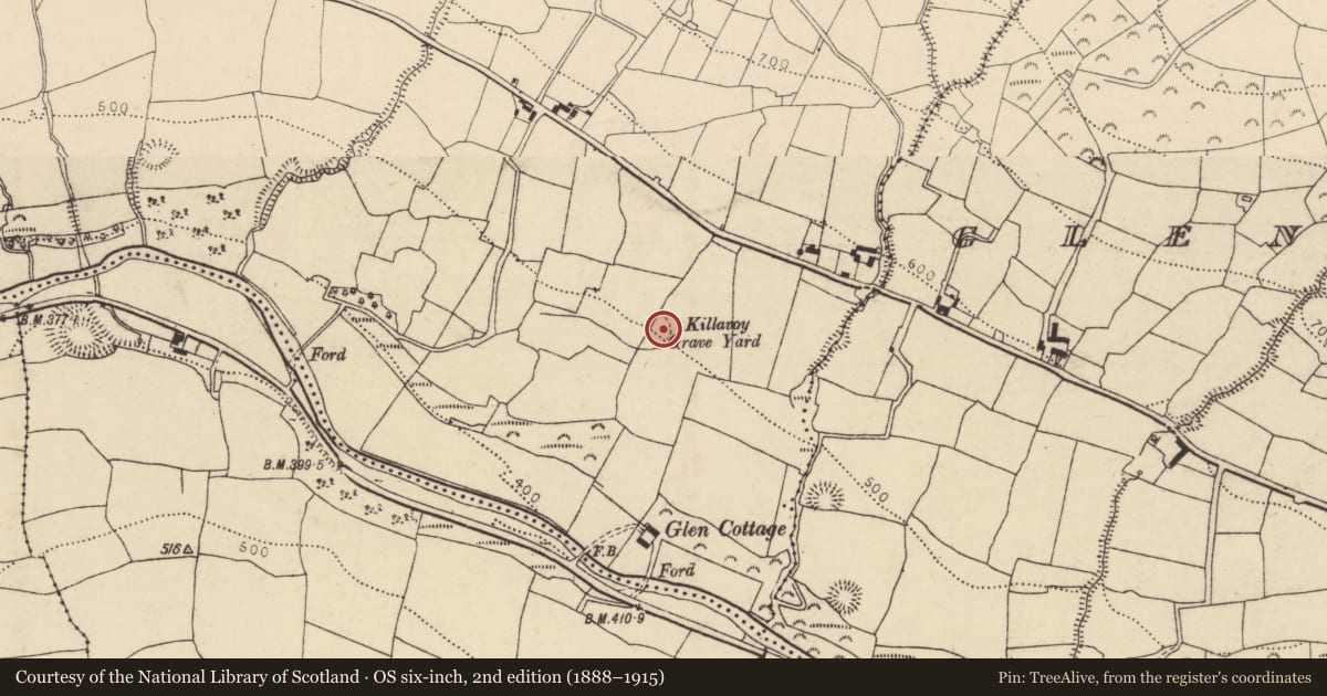 Ordnance Survey six-inch map, 2nd edition (1888–1915) covering the location of Fulacht fia, Killavoy, County Cork, with a pin at the register's coordinates