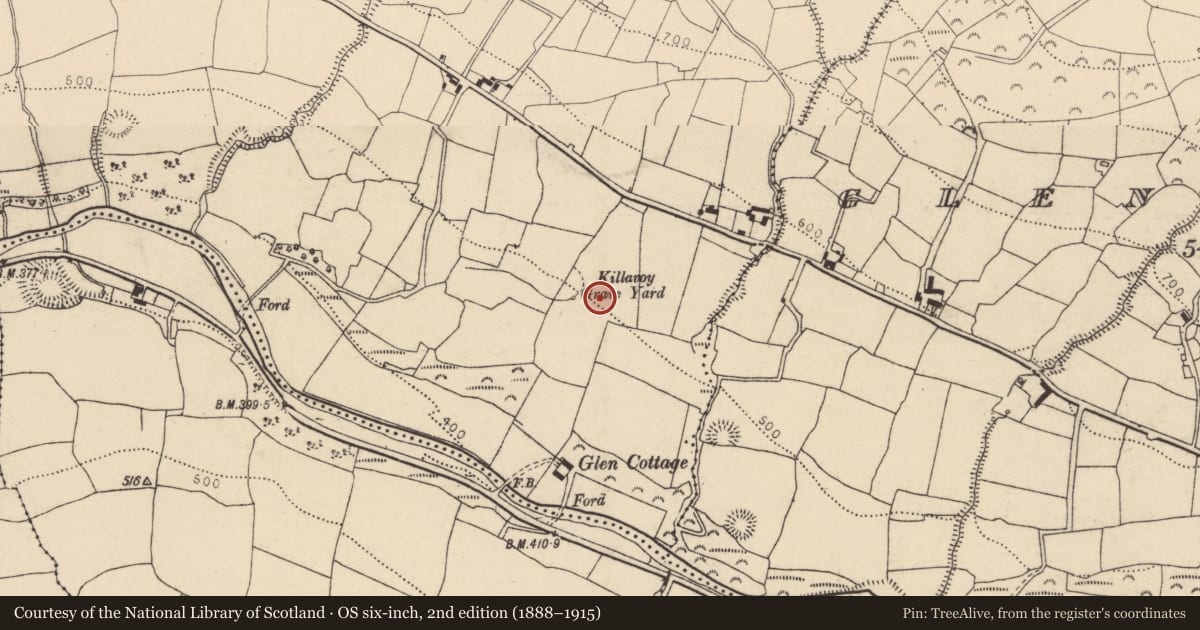 Ordnance Survey six-inch map, 2nd edition (1888–1915) covering the location of Enclosure, Killavoy, County Cork, with a pin at the register's coordinates