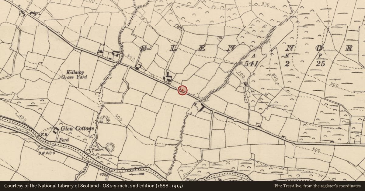 Ordnance Survey six-inch map, 2nd edition (1888–1915) covering the location of Enclosure, Glen North, County Cork, with a pin at the register's coordinates