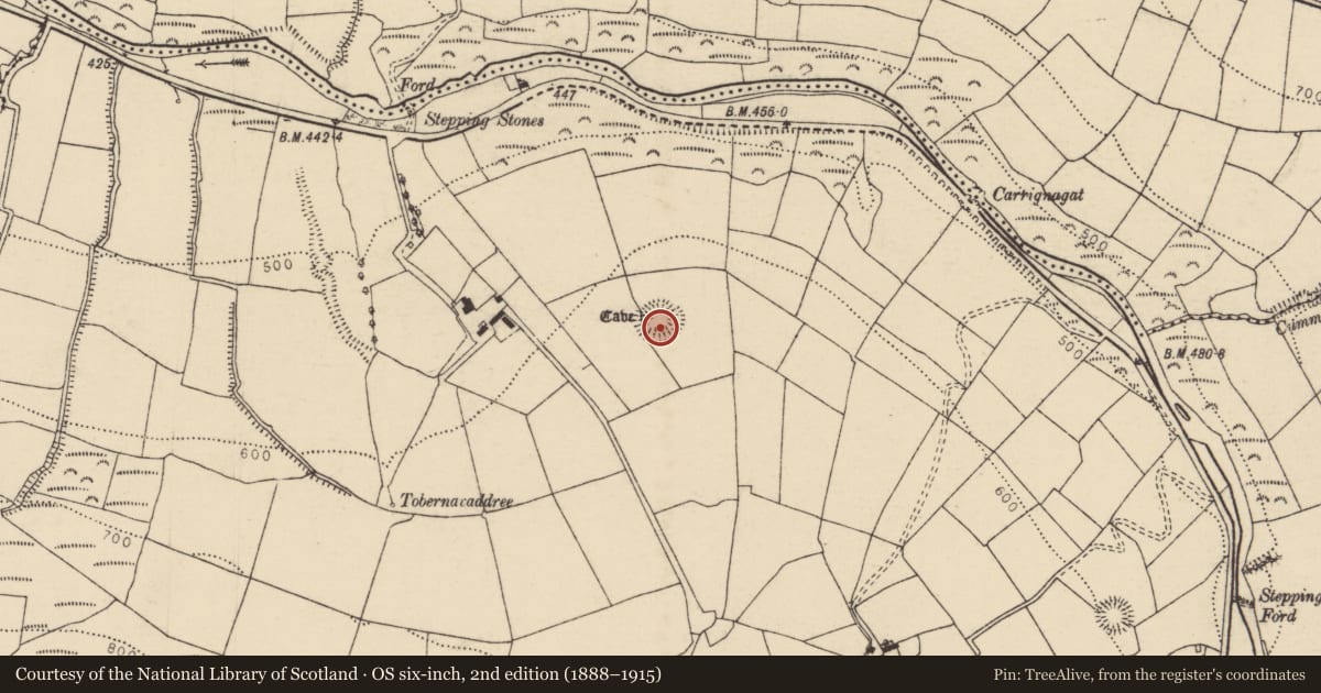 Ordnance Survey six-inch map, 2nd edition (1888–1915) covering the location of Ringfort - rath, Glen South, County Cork, with a pin at the register's coordinates