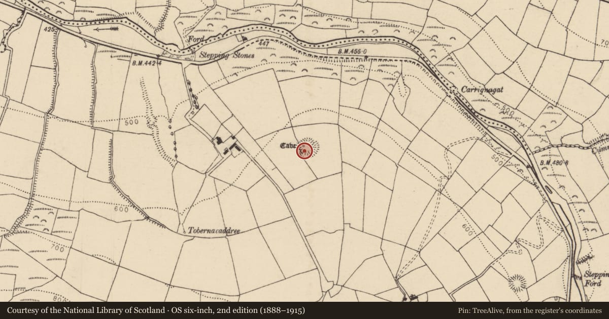 Ordnance Survey six-inch map, 2nd edition (1888–1915) covering the location of Souterrain, Glen South, County Cork, with a pin at the register's coordinates