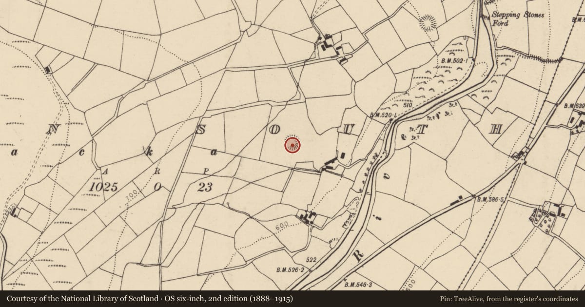 Ordnance Survey six-inch map, 2nd edition (1888–1915) covering the location of Ringfort - rath, Glen South, County Cork, with a pin at the register's coordinates