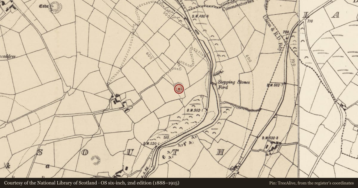 Ordnance Survey six-inch map, 2nd edition (1888–1915) covering the location of Ringfort - rath, Glen South, County Cork, with a pin at the register's coordinates