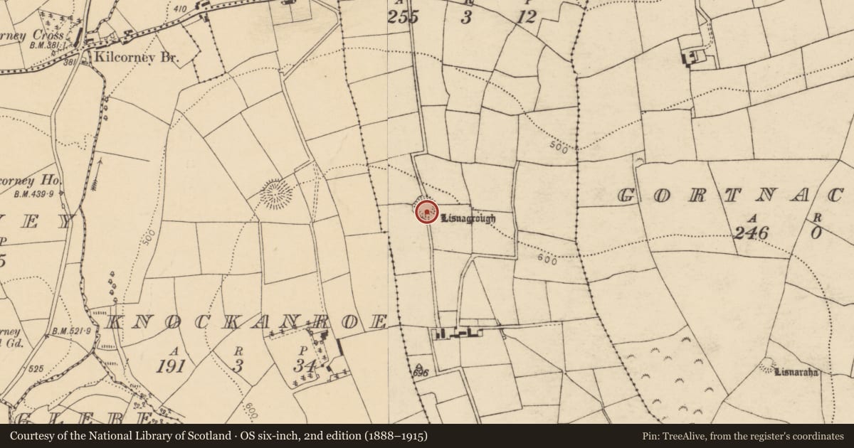Ordnance Survey six-inch map, 2nd edition (1888–1915) covering the location of Ringfort - rath, Shanakill, County Cork, with a pin at the register's coordinates