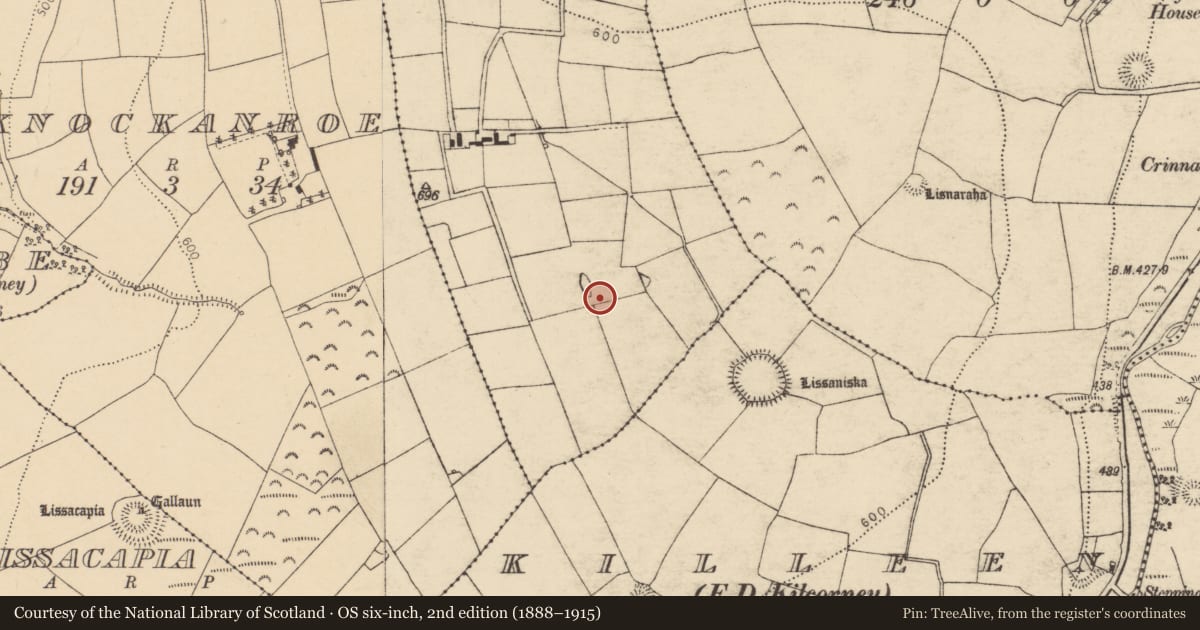 Ordnance Survey six-inch map, 2nd edition (1888–1915) covering the location of Fulacht fia, Shanakill, County Cork, with a pin at the register's coordinates
