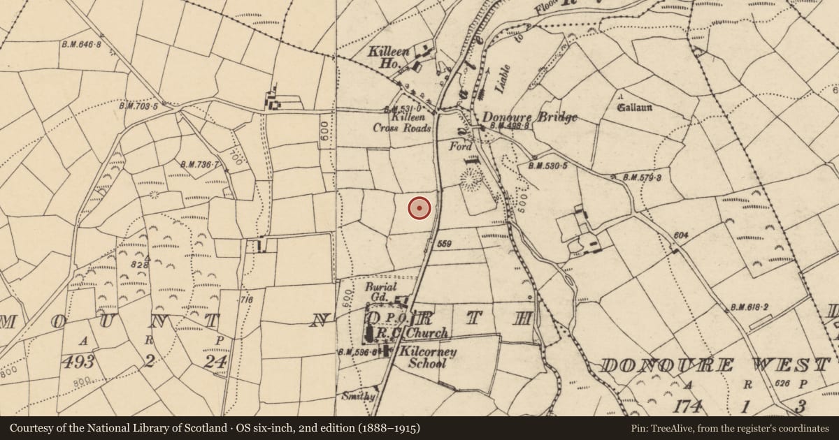 Ordnance Survey six-inch map, 2nd edition (1888–1915) covering the location of Fulacht fia, Horsemount North, County Cork, with a pin at the register's coordinates