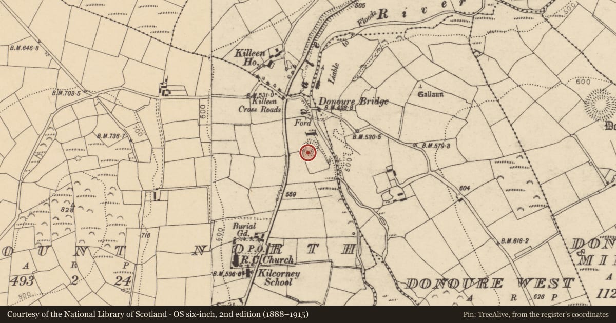 Ordnance Survey six-inch map, 2nd edition (1888–1915) covering the location of Ringfort - rath, Horsemount North, County Cork, with a pin at the register's coordinates