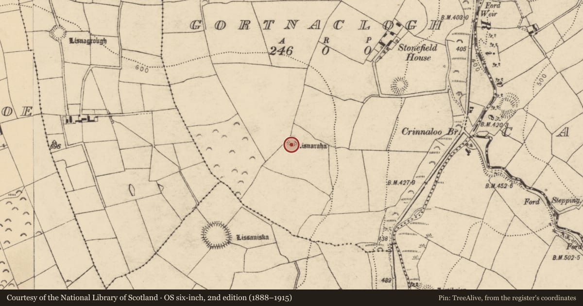 Ordnance Survey six-inch map, 2nd edition (1888–1915) covering the location of Ringfort - rath, Gortnaclogh, County Cork, with a pin at the register's coordinates