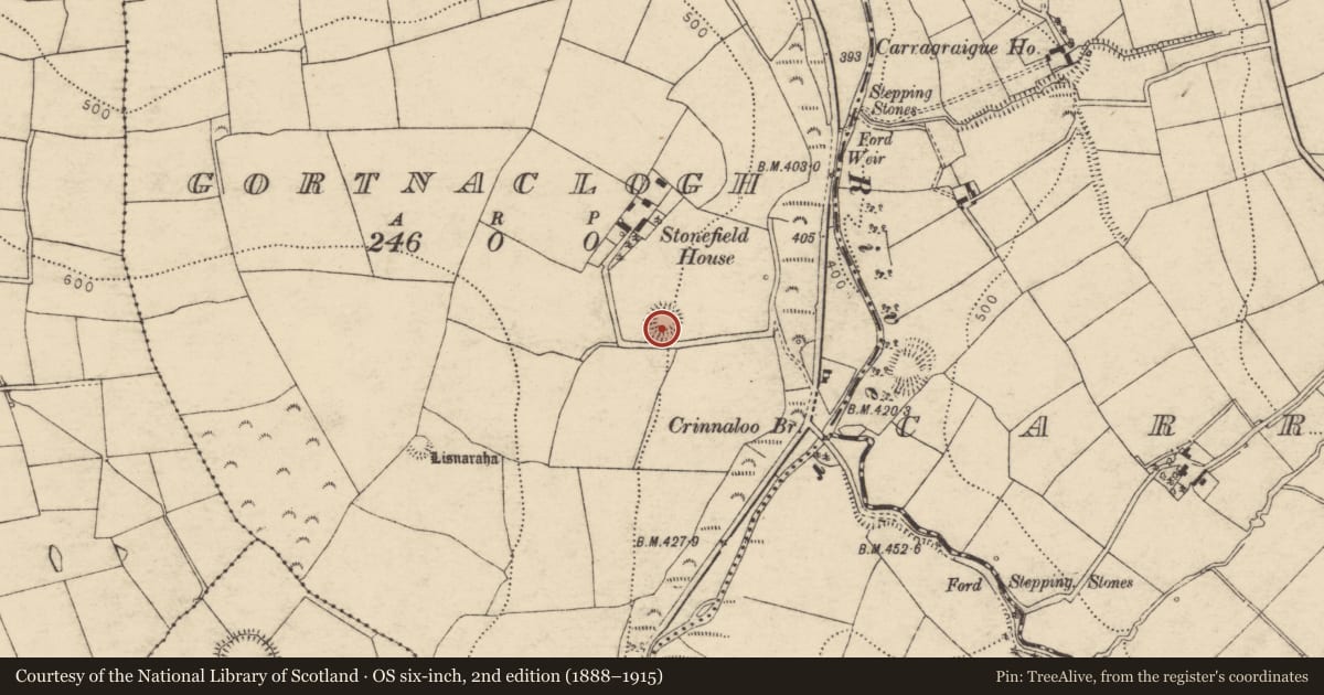 Ordnance Survey six-inch map, 2nd edition (1888–1915) covering the location of Ringfort - rath, Gortnaclogh, County Cork, with a pin at the register's coordinates