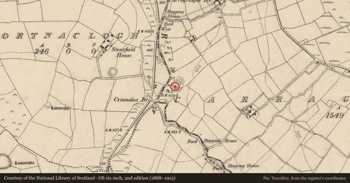 Ordnance Survey six-inch map, 2nd edition (1888–1915) covering the location of Cliff-edge fort, Carragraigue, County Cork, with a pin at the register's coordinates