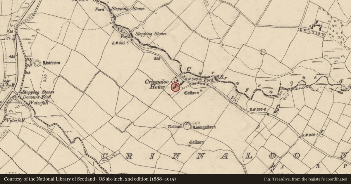 Ordnance Survey six-inch map, 2nd edition (1888–1915) covering the location of Standing stone, Crinnaloo North, County Cork, with a pin at the register's coordinates