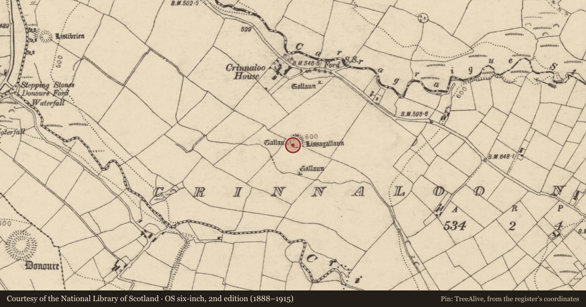 Ordnance Survey six-inch map, 2nd edition (1888–1915) covering the location of Ringfort - rath, Crinnaloo North, County Cork, with a pin at the register's coordinates