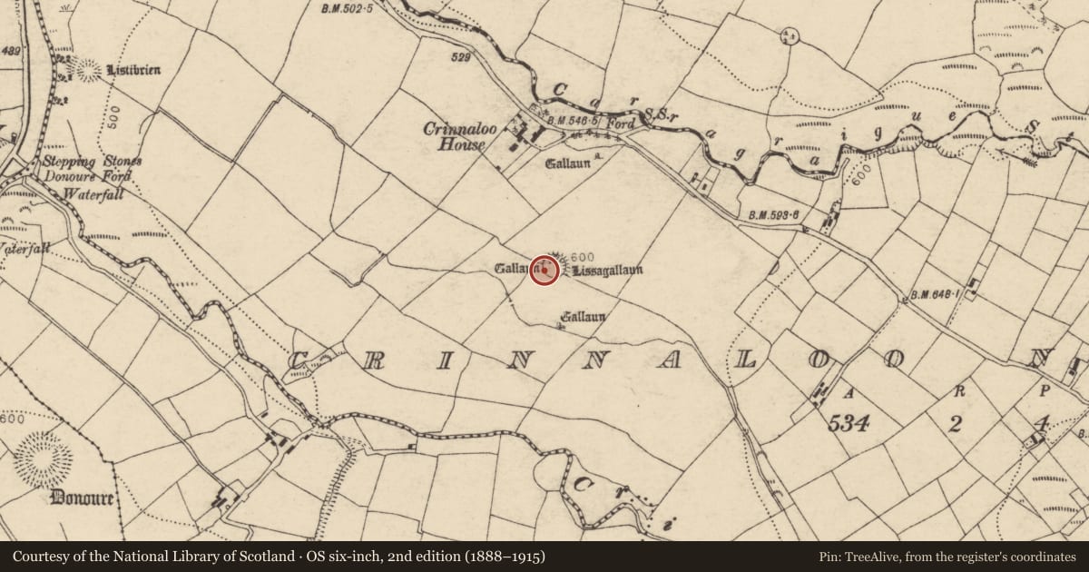 Ordnance Survey six-inch map, 2nd edition (1888–1915) covering the location of Ogham stone, Crinnaloo North, County Cork, with a pin at the register's coordinates