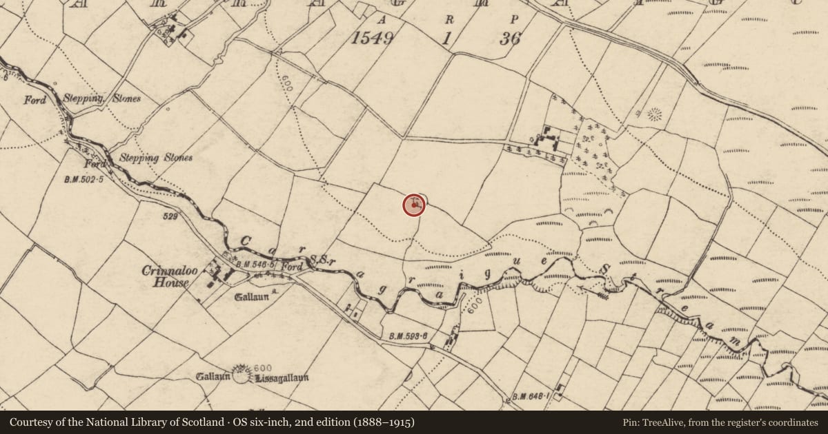 Ordnance Survey six-inch map, 2nd edition (1888–1915) covering the location of Ringfort - rath, Carragraigue, County Cork, with a pin at the register's coordinates