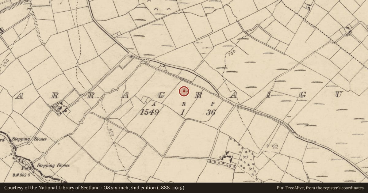 Ordnance Survey six-inch map, 2nd edition (1888–1915) covering the location of Barrow - ring-barrow, Carragraigue, County Cork, with a pin at the register's coordinates