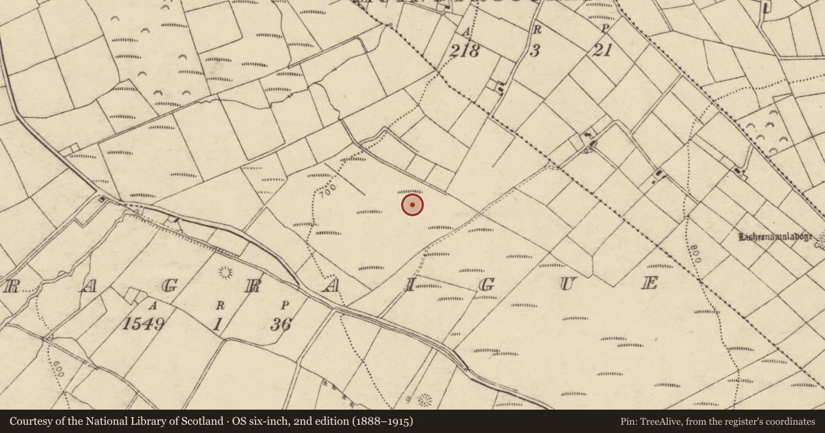 Ordnance Survey six-inch map, 2nd edition (1888–1915) covering the location of Fulacht fia, Carragraigue, County Cork, with a pin at the register's coordinates