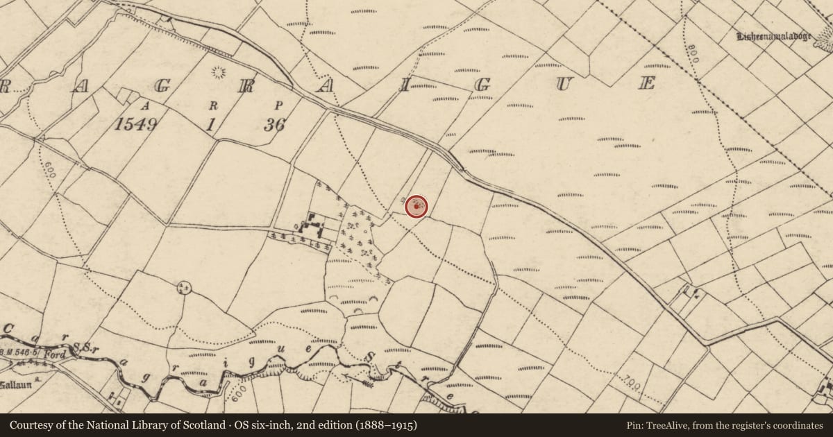 Ordnance Survey six-inch map, 2nd edition (1888–1915) covering the location of Enclosure, Carragraigue, County Cork, with a pin at the register's coordinates