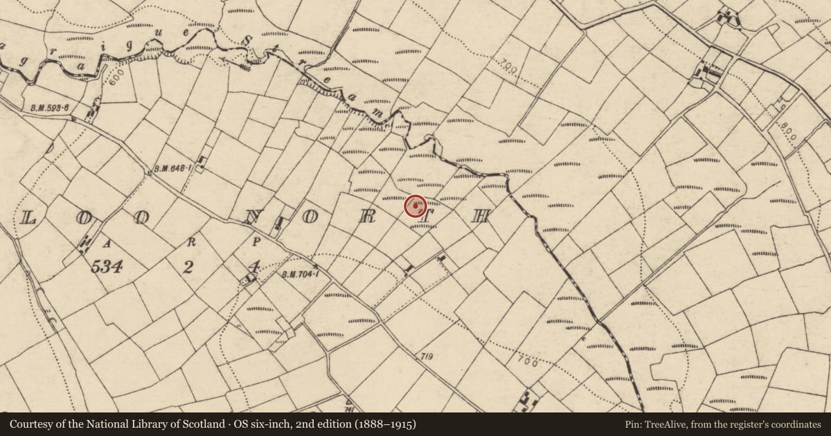 Ordnance Survey six-inch map, 2nd edition (1888–1915) covering the location of Fulacht fia, Crinnaloo North, County Cork, with a pin at the register's coordinates